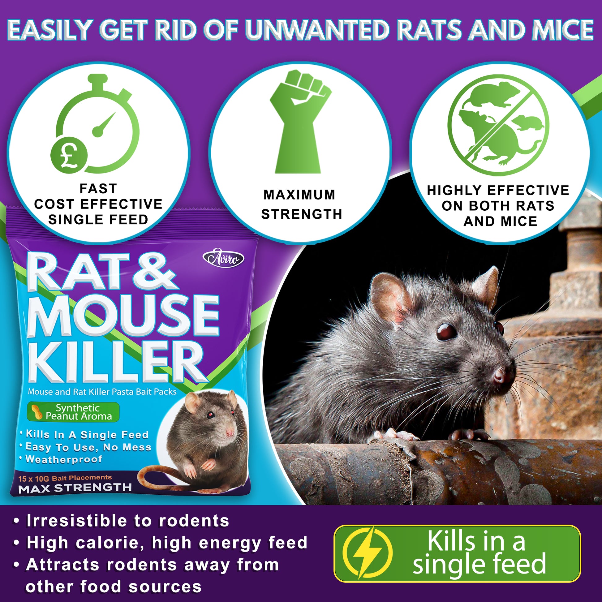 RATS GLUE 300G (NON TOXIC)  Insect & Pest Control Products